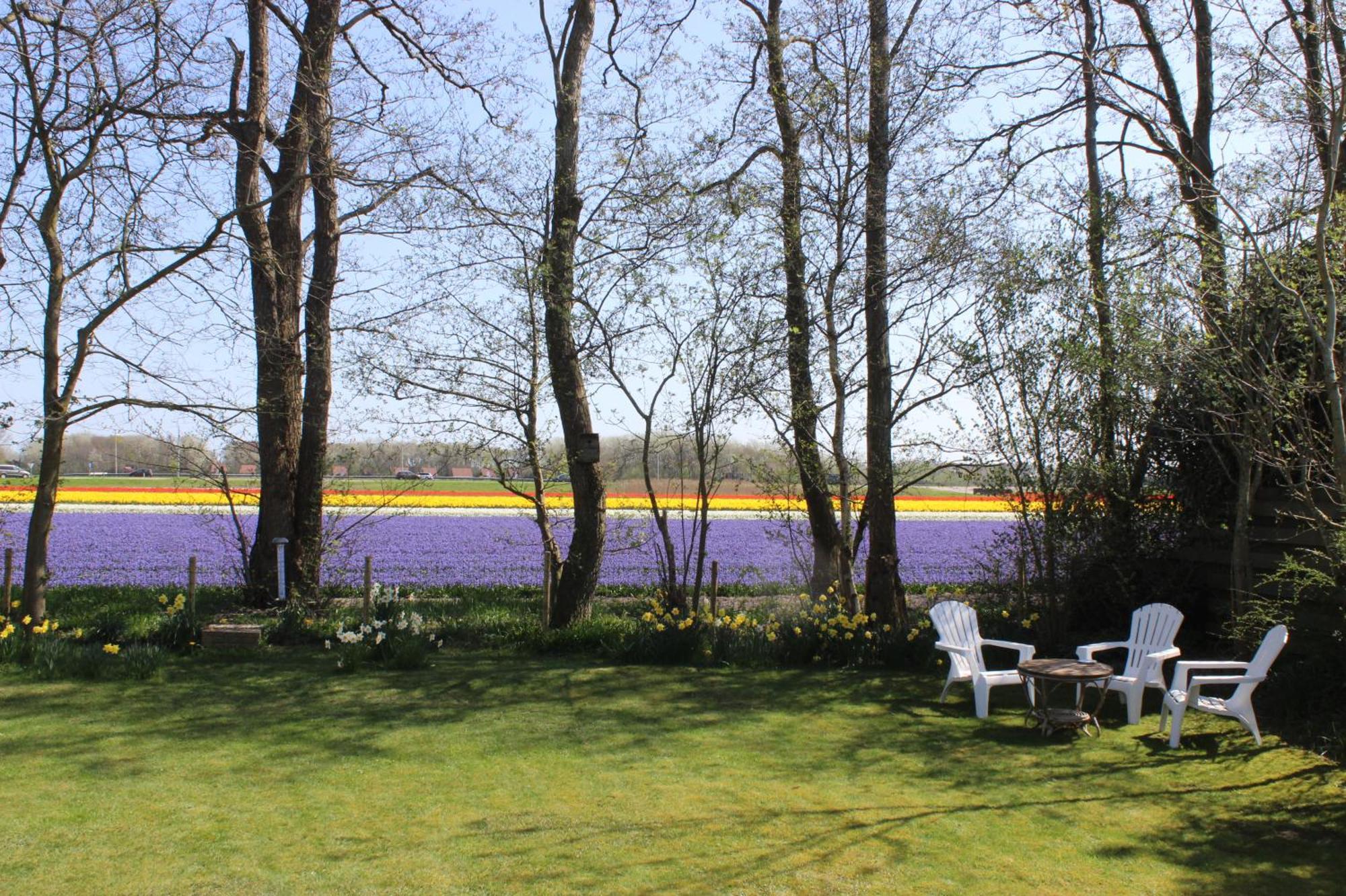 Vakantiehuis Aan Zee Sint Maartensvlotbrug Ngoại thất bức ảnh