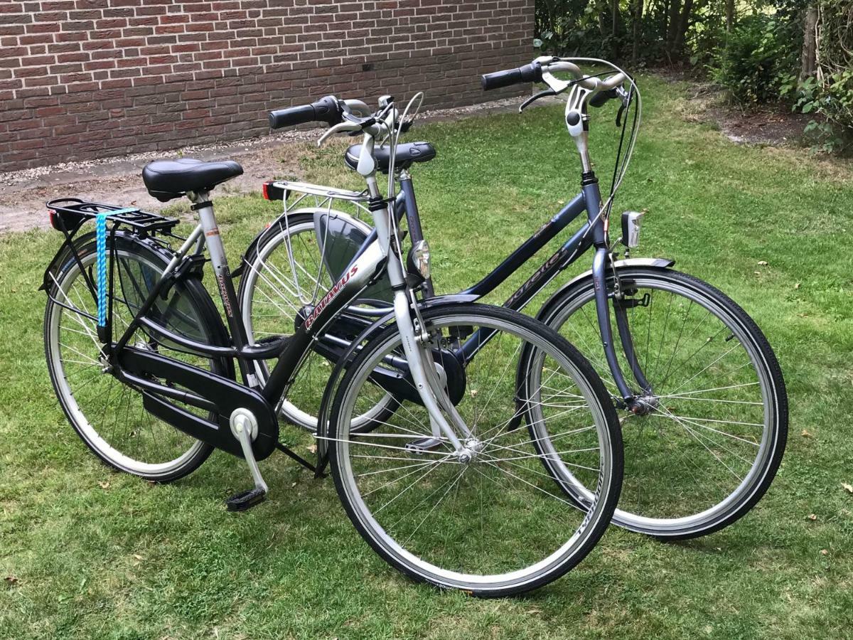 Vakantiehuis Aan Zee Sint Maartensvlotbrug Ngoại thất bức ảnh